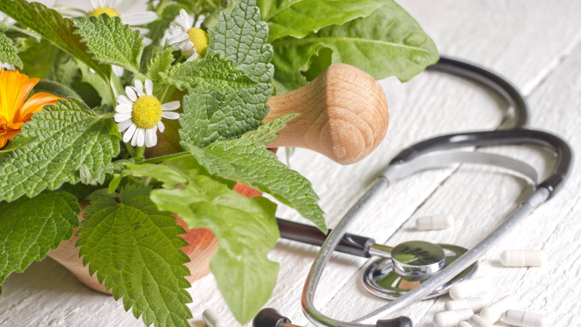 Your Guide to Wellness: The Process and Benefits of Seeing a Holistic Nutritionist