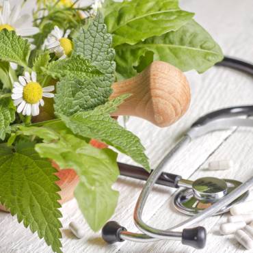 Your Guide to Wellness: The Process and Benefits of Seeing a Holistic Nutritionist